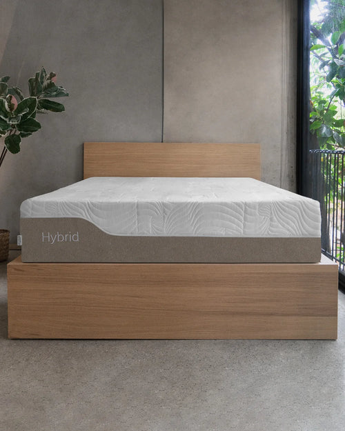 Smart Bamboo es la línea más innovadora en colchones y accesorios de ropa de cama derivados del bambú